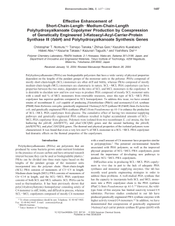 Effective Enhancement of Short-Chain-Length-Medium