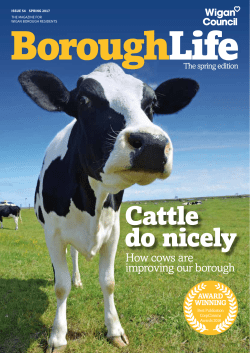 Borough Life - Spring 2017