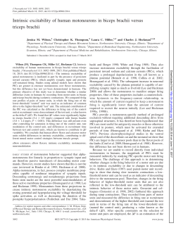 Intrinsic excitability of human motoneurons in biceps brachii versus