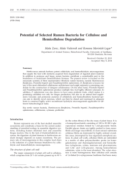 Potential of Selected Rumen Bacteria for Cellulose and