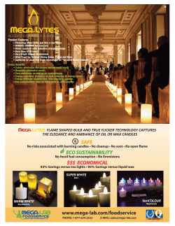 MEGA-LYTE BrochureOCT0112.qxd:Layout 1