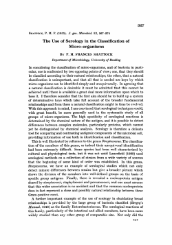 The Use of Serology in the Classification of Micro
