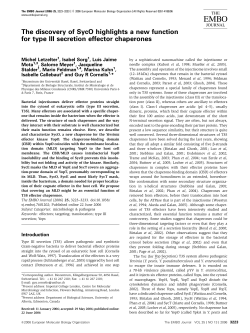 The discovery of SycO highlights a new function for type III secretion