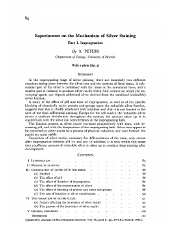 Experiments on the Mechanism of Silver Staining