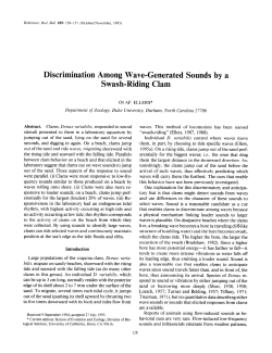 Discrimination Among Wave-Generated Sounds by a Swash
