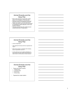 3 slides/page - USD Home Pages