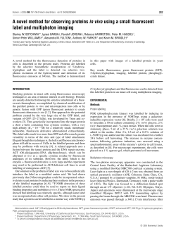 A novel method for observing proteins in vivo using a small