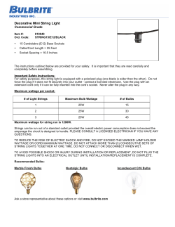 Decorative Mini String Light