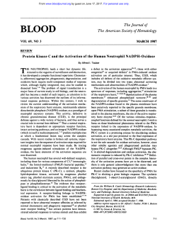 B L J #{128}D - Blood Journal