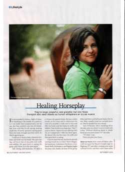 O Lifestyle - Horses Heart and Soul