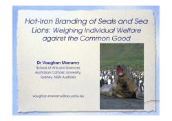 Hot-iron branding of seals and sea lions: weighing individual