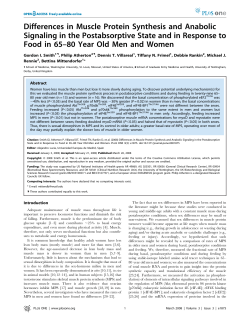 Differences in Muscle Protein Synthesis and Anabolic Signaling in