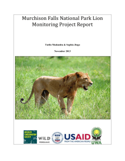 WCS lion-monitoring project - WCS Global Conservation Programs