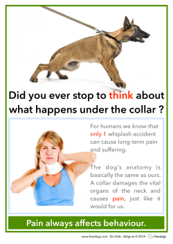 Did You Ever stop To Think About What Happens Under The Collar