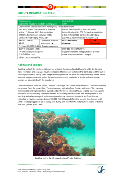 HELCOM Red List 1180 Submarine structures made by leaking gases