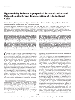 Hypotonicity Induces Aquaporin-2 Internalization and Cytosol