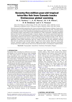 Seventy-five-million-year-old tropical tetra