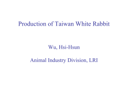 Production of Taiwan White Rabbit