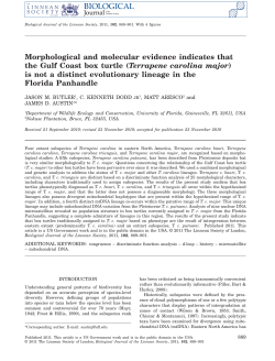 Morphological and molecular evidence indicates that the Gulf Coast