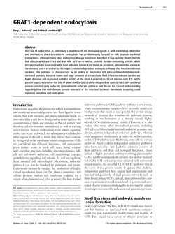 GRAF1-dependent endocytosis - Biochemical Society Transactions