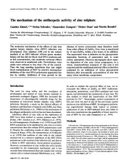 The mechanism of the antiherpetic activity of zinc sulphate