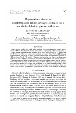 Organ-culture studies of achondroplastic rabbit