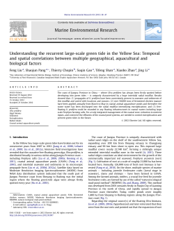 Understanding the recurrent large-scale green tide in the Yellow Sea