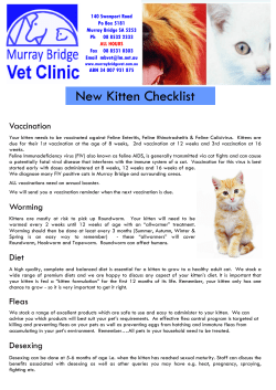 New Kitten Checklist - Murray Bridge Veterinary Clinic