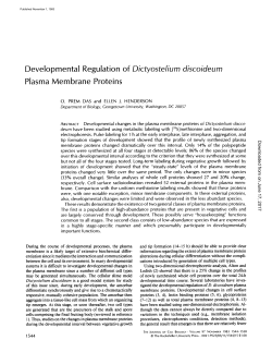 Developmental Regulation of Dictyostelium Plasma Membrane