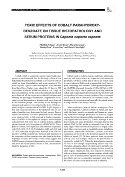 TOXIC EFFECTS OF COBALT PARAHYDROXY