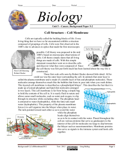Cell Structure &ndash; Cell Membrane