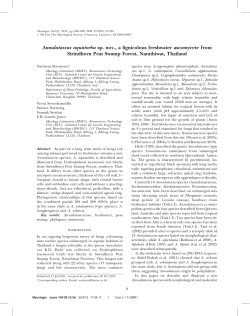 Annulatascus aquatorba