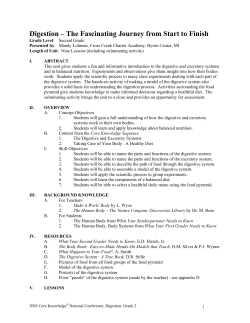 Digestion &ndash; The Fascinating Journey from Start to Finish