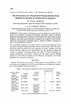 The Formation of a Starch-like Polysaccharide from Maltose by