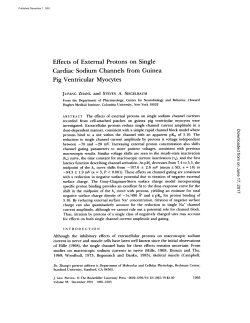 Effects of External Protons on Single Cardiac Sodium Channels from