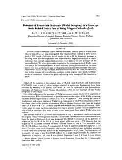 Detection of Reassortant Orbiviruses (Wallal Serogroup)