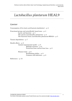Lactobacillus plantarum