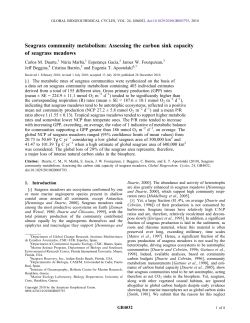 Seagrass community metabolism: Assessing the carbon sink