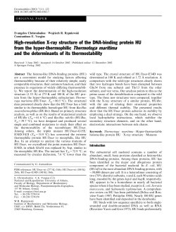 High-resolution X-ray structure of the DNA