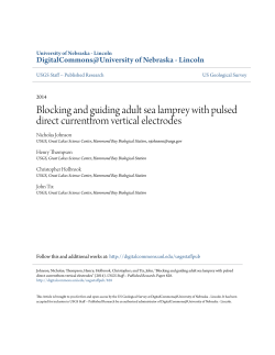 Blocking and guiding adult sea lamprey with pulsed direct