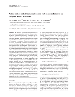 Actual and potential transpiration and carbon