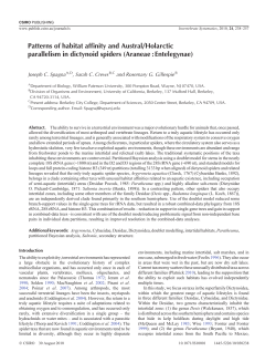 Invertebrate Systematics, 24, 238-257