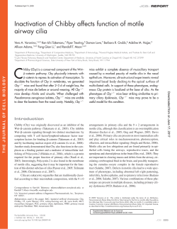 Inactivation of Chibby affects function of motile airway cilia