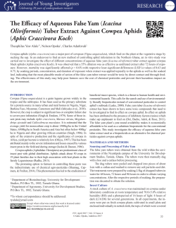 (Icacina Oliviformis) Tuber Extract Against Cowpea Aphids