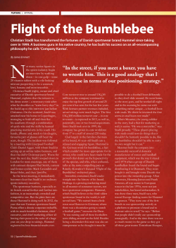 Flight of the Bumblebee