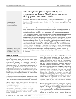 EST analysis of genes expressed by the zygomycete