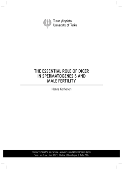 the essential role of dicer in spermatogenesis and male fertility