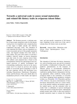 Towards a universal scale to assess sexual maturation