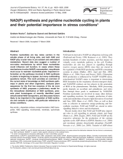 NAD(P) synthesis and pyridine nucleotide cycling