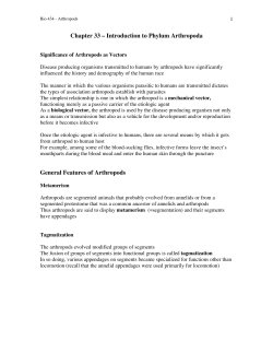 Chapter 33 &ndash; Introduction to Phylum Arthropoda General Features of